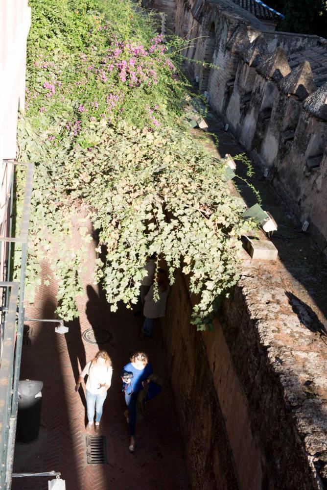 Apartamento Casa Callejon Del Agua Siviglia Esterno foto